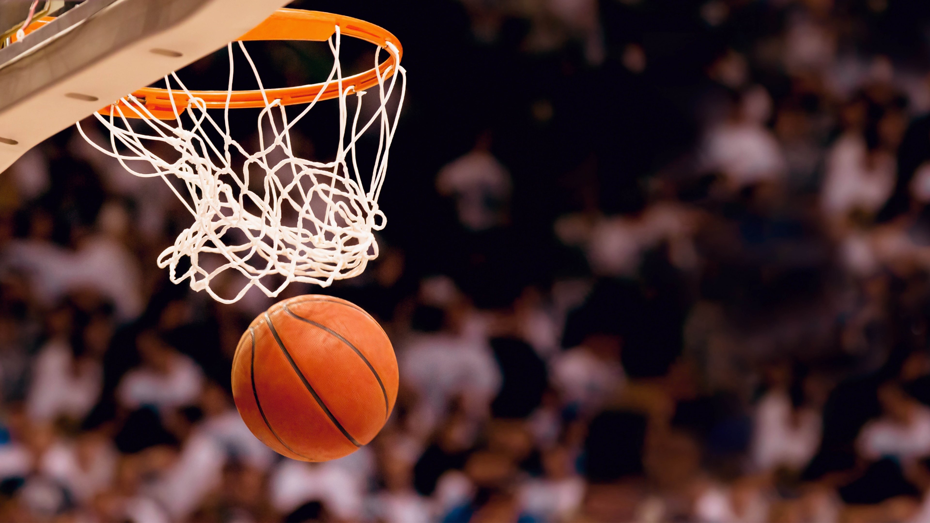 从NBA弃将到辽宁新核，恩比德能否率队重返CBA四强？|星空体育网站